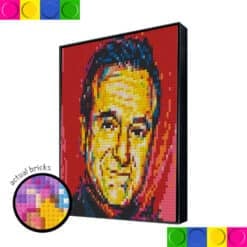 Robin Williams 2x2 Boards